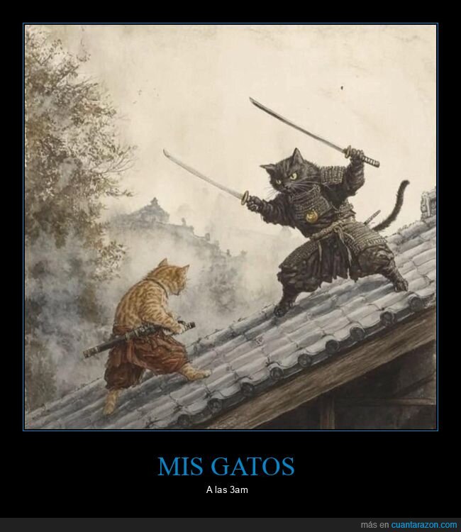 gatos,tejado,samuráis