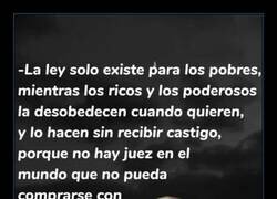 Enlace a La ley no es igual para todos