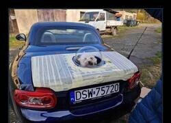 Enlace a Para que disfrute del paisaje