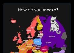 Enlace a Estornudos en europa