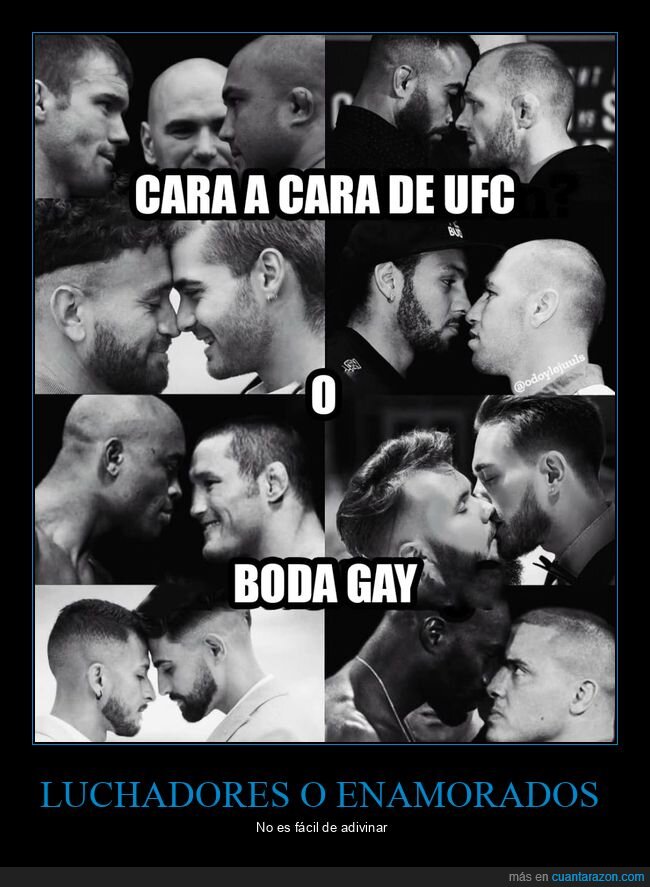 ufc,boda,gay