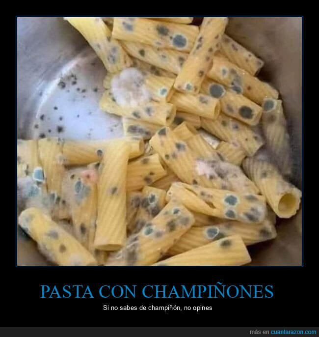 champiñones,moho,pasta