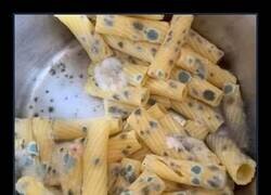 Enlace a Plato gourmet