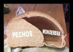 Enlace a Pan engañoso