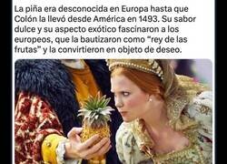Enlace a La piña, un antiguo símbolo de lujo en Europa