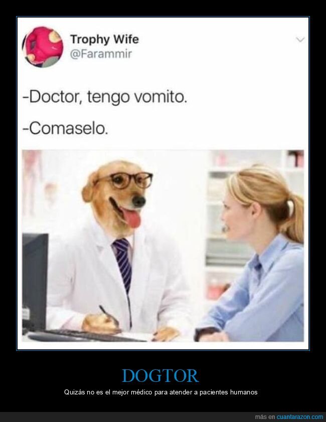 comer,médico,perros,vómito