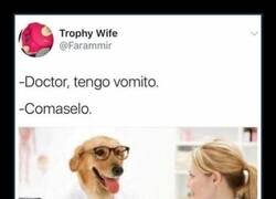 Enlace a En la consulta del dogtor