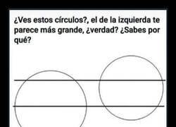 Enlace a El tamaño de los círculos