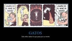 Enlace a El bebé de mamá