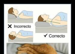 Enlace a La postura correcta para dormir