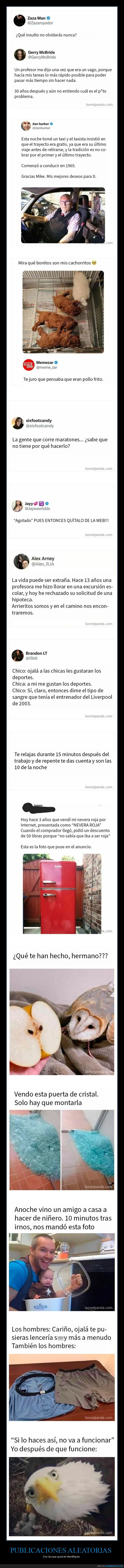 publicaciones aleatorias