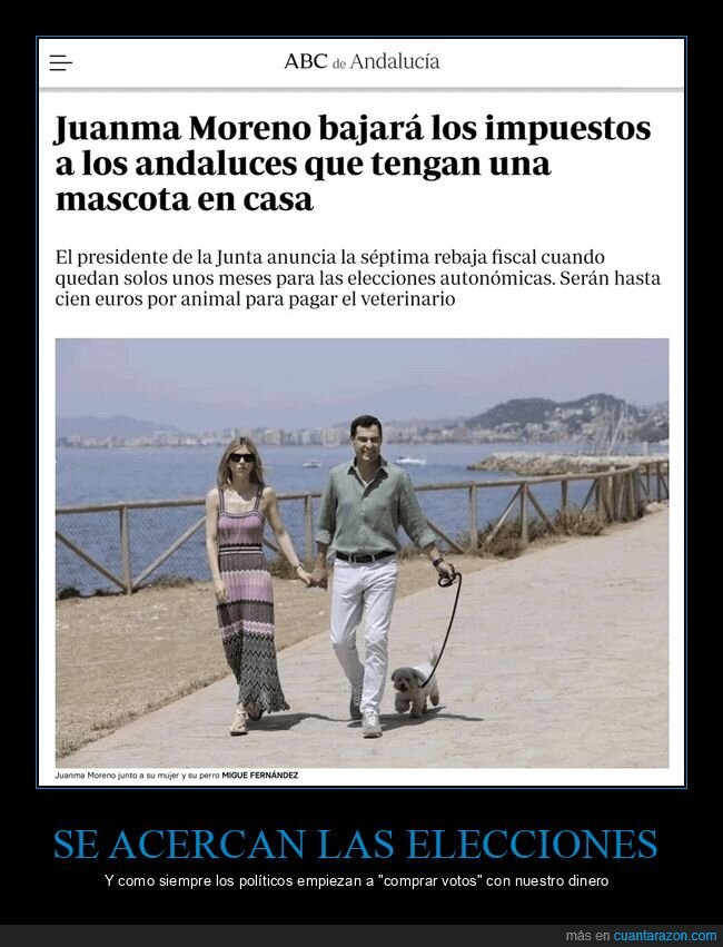 juanma moreno,impuestos,mascotas