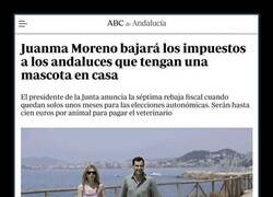 Enlace a Rebaja de impuestos conveniente