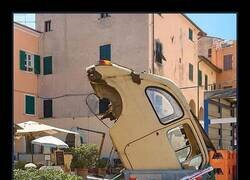 Enlace a A la basura