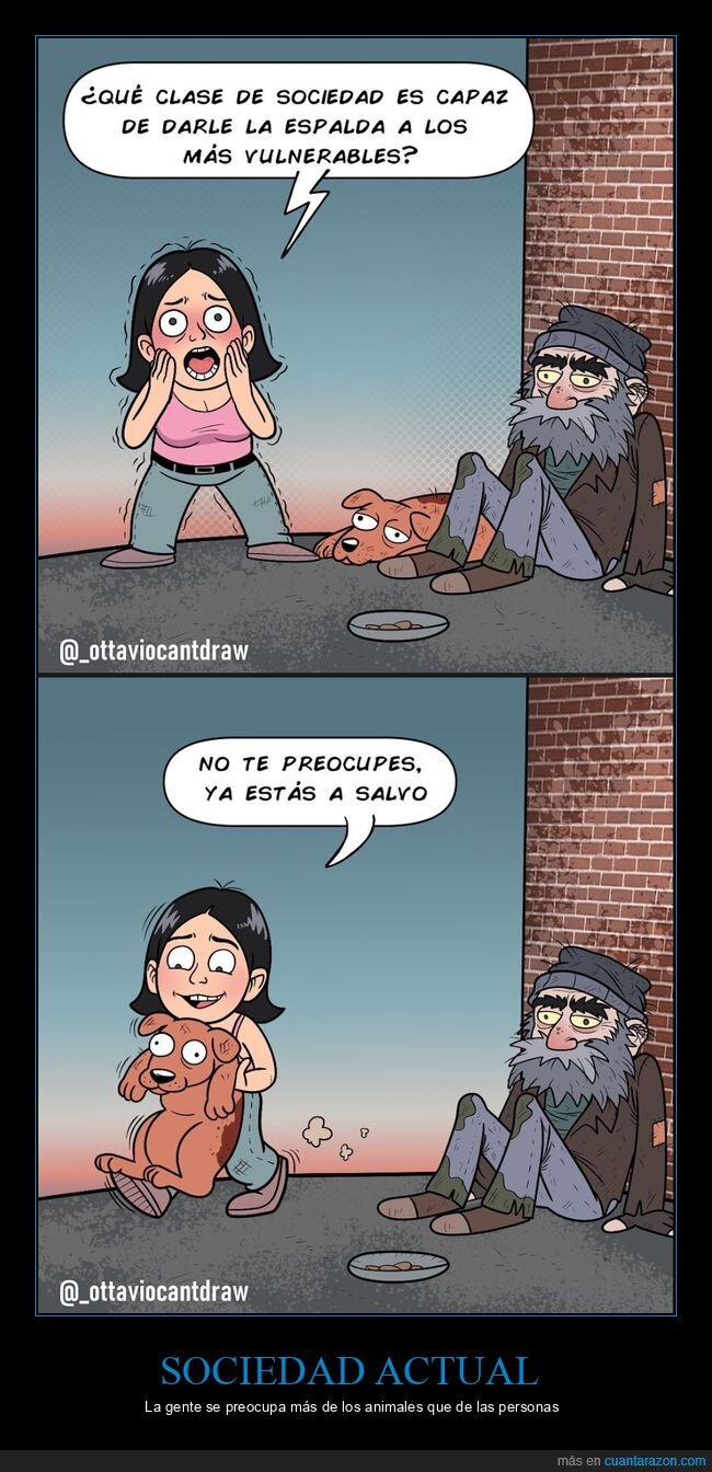 sociedad,vulnerables,perros