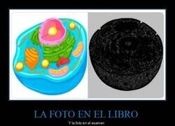 Enlace a La peor fotocopia posible