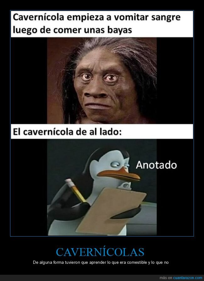 cavernícolas,comer,bayas