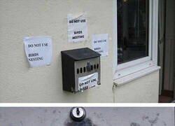 Enlace a Fuera de servicio