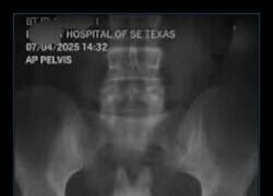 Enlace a Cuando te gustan muchísimo los Labubus