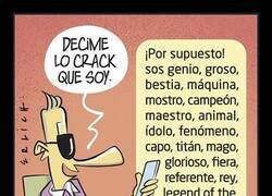 Enlace a Por fin alguien que siempre te da la razón