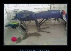 Enlace a Al fin la han recuperado...