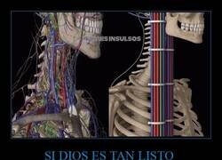 Enlace a Defecto de fábrica