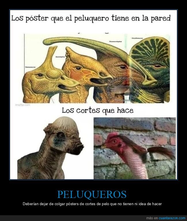 peluquero,cortes de pelo,pósters