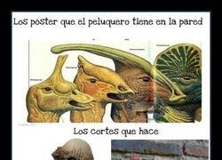 Enlace a Pósters engañosos