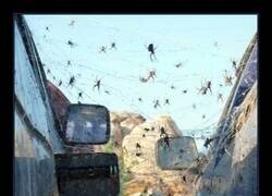 Enlace a Coches abandonados