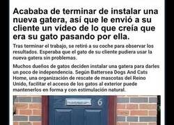 Enlace a Este hombre instaló una gatera, envió un vídeo al cliente y recibió una divertida respuesta