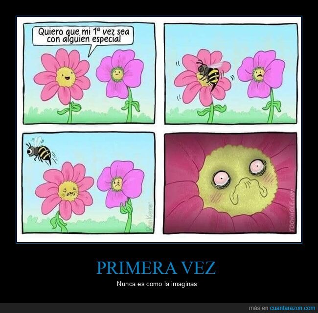 abeja,flores,primera vez