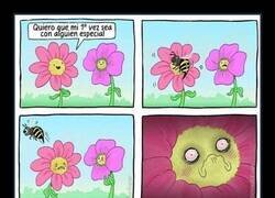 Enlace a Primera vez traumática