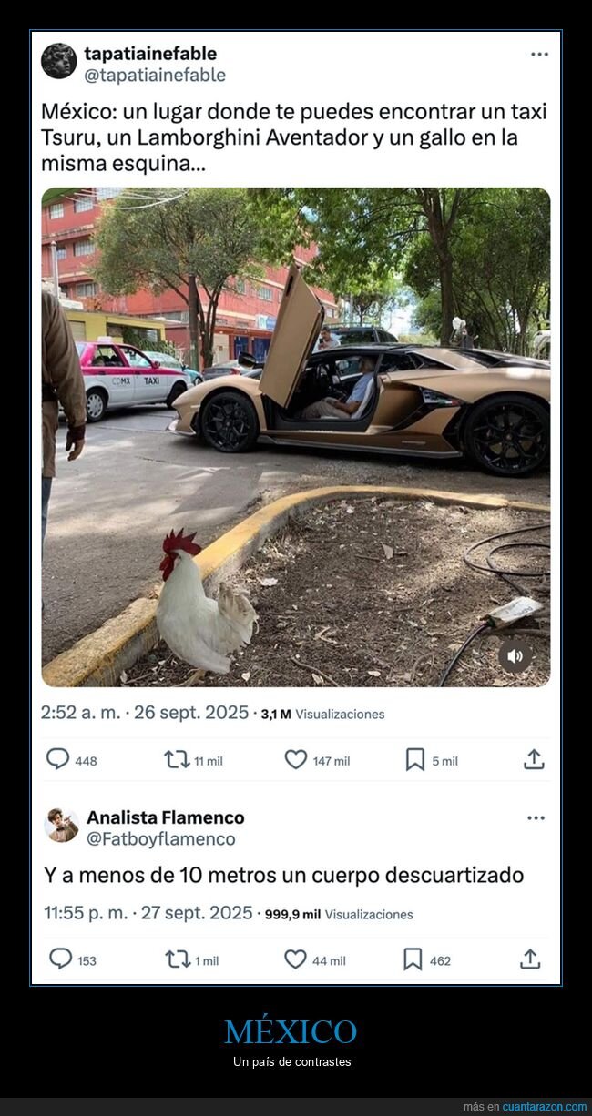 coches,gallo,lamborghini,méxico,taxi