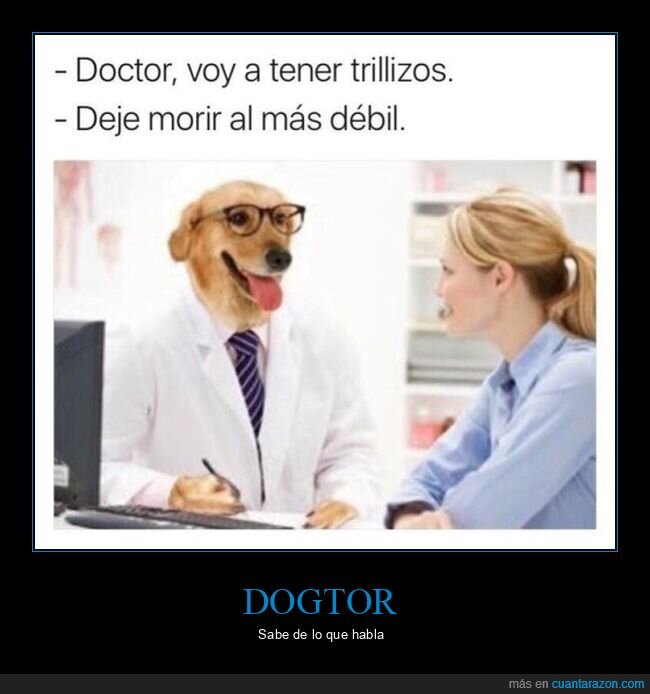 médico,perros,trillizos