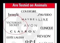 Enlace a El secreto de Victoria