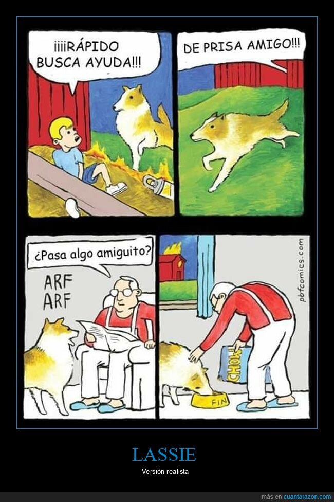 ayuda,comida,lassie,perro