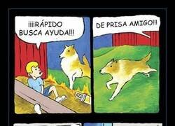 Enlace a Lassie al rescate