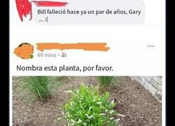 Enlace a Personas mayores metiendo la pata con las redes sociales