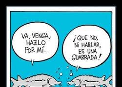 Enlace a Fantasías acuáticas