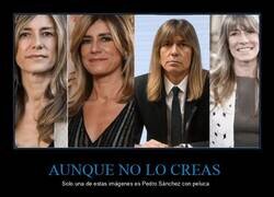 Enlace a Si lo piensas bien, es de locos