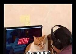 Enlace a No puede permitir que preste atención a otras cosas