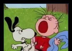 Enlace a Perro indignado