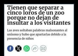 Enlace a Loros maleducados