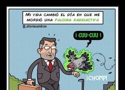 Enlace a Las aventuras de Paloma-Man