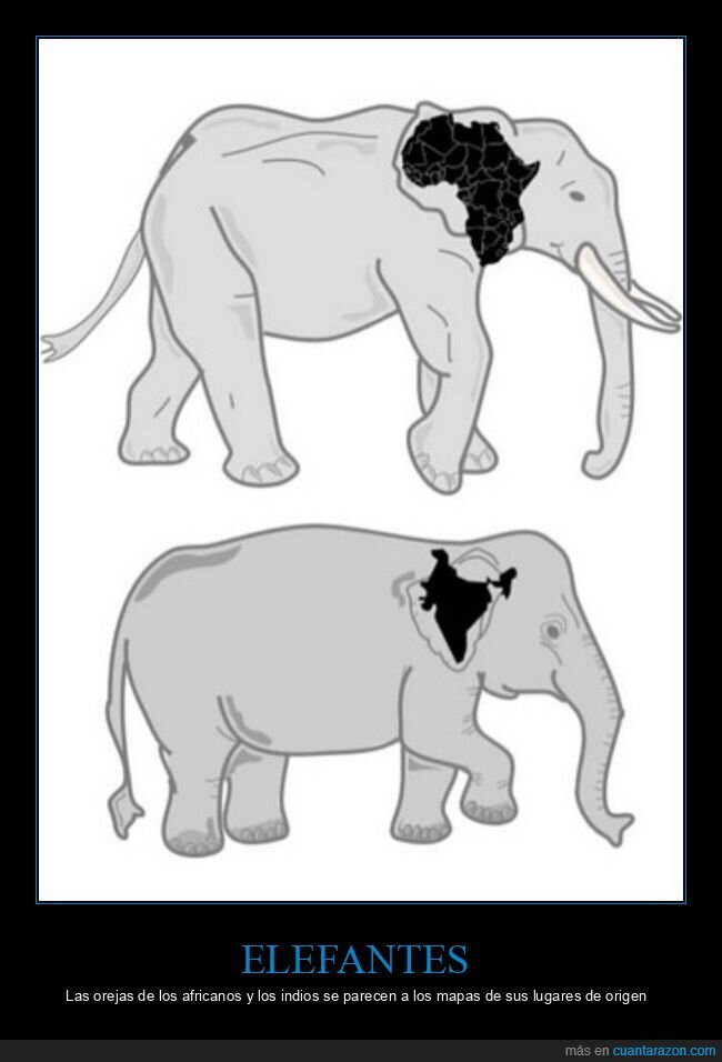 elefantes,africanos,indios,mapas