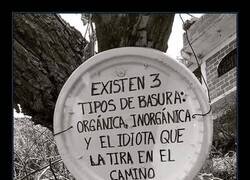 Enlace a Los tres tipos de basura