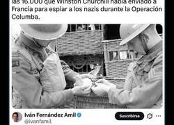 Enlace a El hallazgo en una chimenea del esqueleto de una paloma mensajera de la II Guerra Mundial