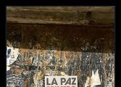 Enlace a Incomprensible