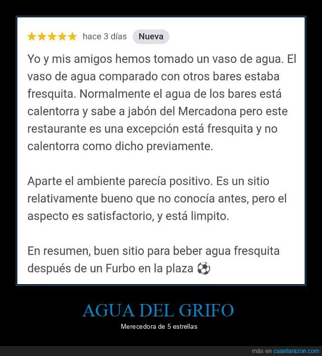 agua,grifo,reseña,bar