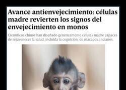Enlace a ¿Estamos ante la cura para la vejez?